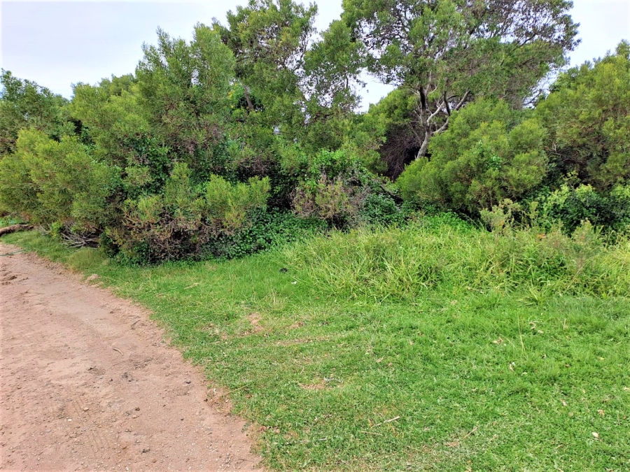 0 Bedroom Property for Sale in Paradise Beach Eastern Cape